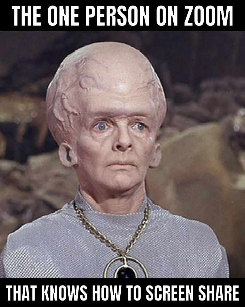 150+ funny Zoom memes to beat Zoom meeting blues Ricotta